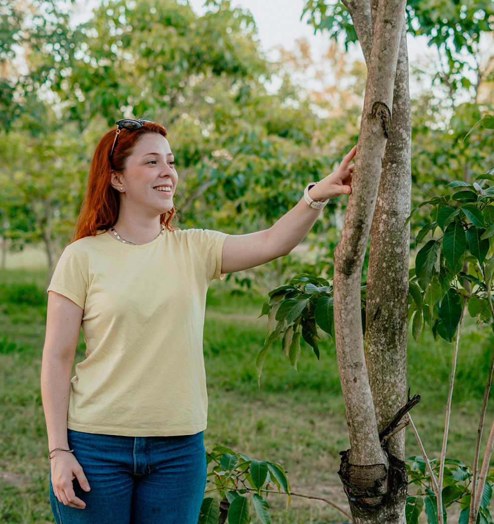 Alquimia para el alma: Renovacion y crecimiento al inicio del otoño 