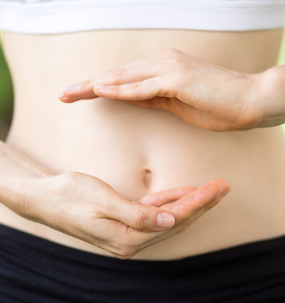 Buena digestión y microbiota instestinal saludable 