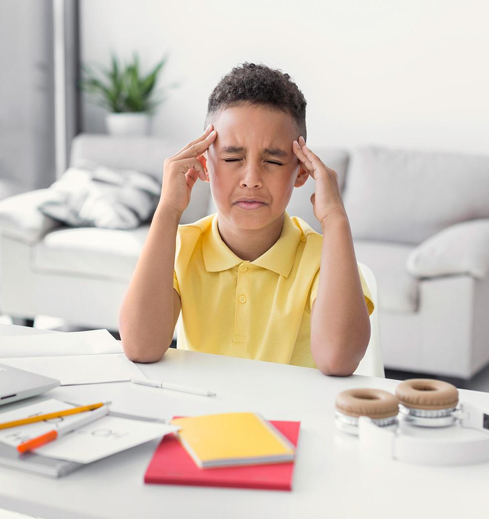 Cerebro en accion: Estimular las funciones ejecutivas de los niños